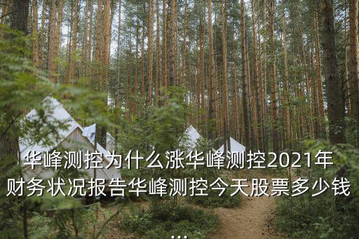 華峰測控為什么漲華峰測控2021年財(cái)務(wù)狀況報(bào)告華峰測控今天股票多少錢...