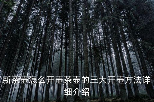 新茶壺怎么開壺茶壺的三大開壺方法詳細介紹