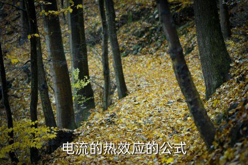 電流熱效應(yīng),導(dǎo)體通電時(shí)會(huì)發(fā)熱電流的三大效應(yīng)