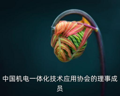 中國機電一體化技術(shù)應(yīng)用協(xié)會的理事成員