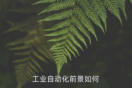 工業(yè)自動(dòng)化前景如何