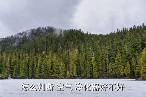 怎么判斷 空氣 凈化器好不好