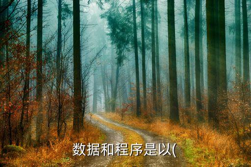 數(shù)據(jù)和程序是以(