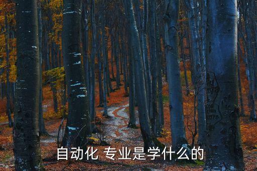  自動化 專業(yè)是學(xué)什么的