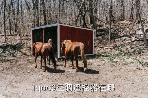 搖控器組立全自動(dòng)化設(shè)備,全智電動(dòng)門(mén)遙控器什么意思?