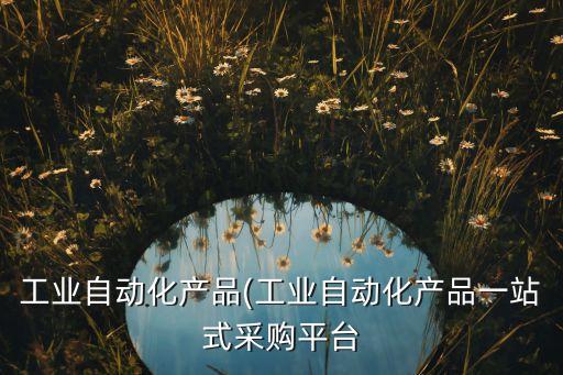 工業(yè)自動(dòng)化產(chǎn)品(工業(yè)自動(dòng)化產(chǎn)品一站式采購(gòu)平臺(tái)