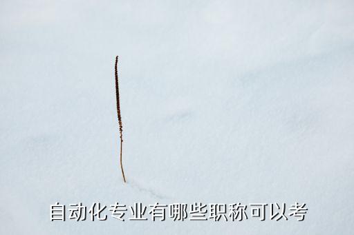 自動化專業(yè)有哪些職稱可以考