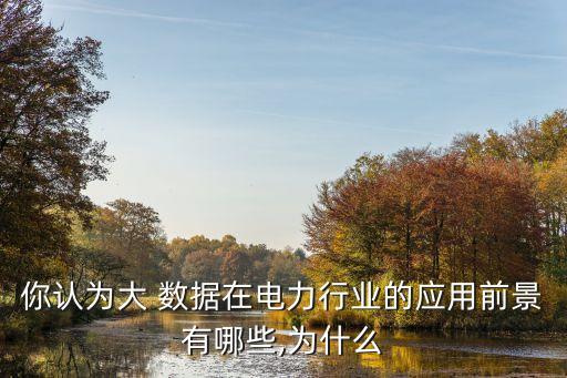 你認(rèn)為大 數(shù)據(jù)在電力行業(yè)的應(yīng)用前景有哪些,為什么