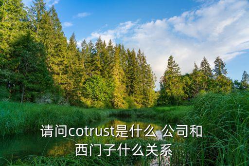 西門子 自動化 代理公司,自動化代理公司的困苦