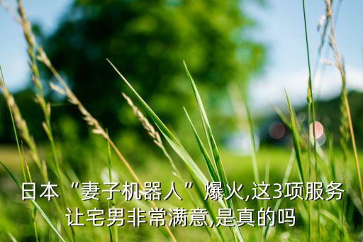 日本“妻子機(jī)器人”爆火,這3項(xiàng)服務(wù)讓宅男非常滿意,是真的嗎