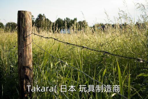 日本格斗機器人玩具,鐵甲雄心格斗機器人玩具