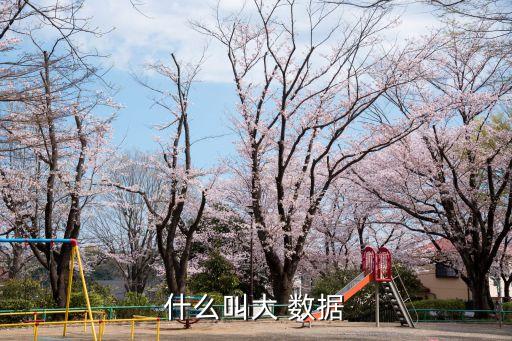 什么叫大 數(shù)據(jù)