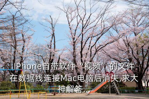蘋果數(shù)據(jù)線 模型,蘋果6模型機子不能開機?求大神解答