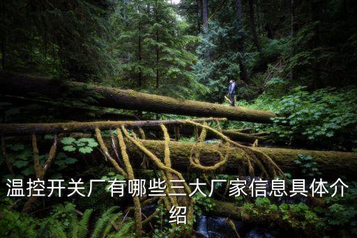 溫控開關(guān)廠有哪些三大廠家信息具體介紹