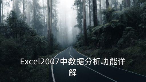 Excel2007中數(shù)據(jù)分析功能詳解