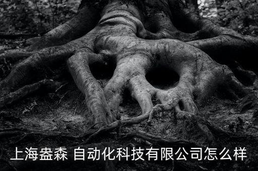 上海盎森 自動(dòng)化科技有限公司怎么樣