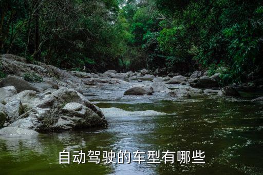 自動(dòng)駕駛的車型有哪些