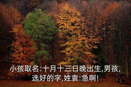 小孩取名:十月十三日晚出生,男孩,選好的字,姓袁:急啊!