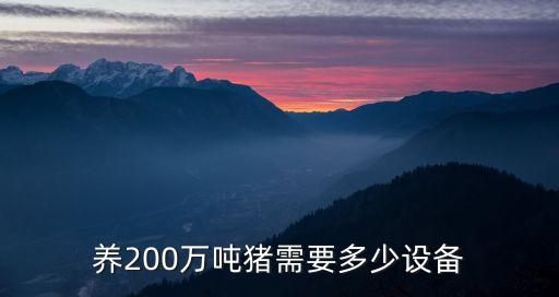 養(yǎng)200萬(wàn)噸豬需要多少設(shè)備