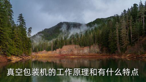 真空包裝機(jī)的工作原理和有什么特點(diǎn)