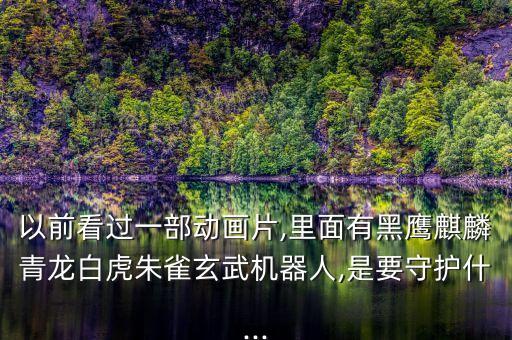 以前看過一部動畫片,里面有黑鷹麒麟青龍白虎朱雀玄武機器人,是要守護什...