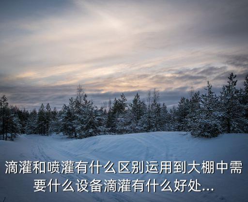 滴灌和噴灌有什么區(qū)別運(yùn)用到大棚中需要什么設(shè)備滴灌有什么好處...