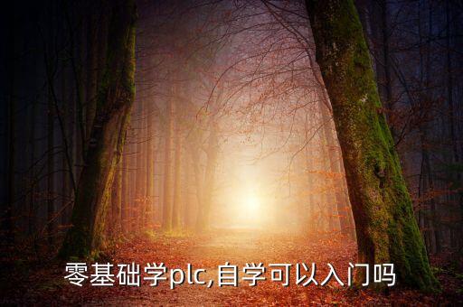 零基礎(chǔ)學(xué)plc,自學(xué)可以入門嗎