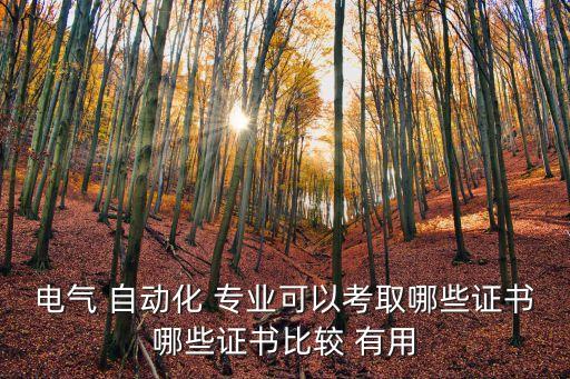 電氣 自動化 專業(yè)可以考取哪些證書哪些證書比較 有用