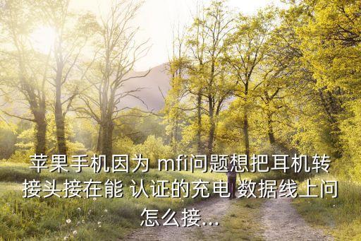 蘋果手機因為 mfi問題想把耳機轉接頭接在能 認證的充電 數(shù)據(jù)線上問怎么接...