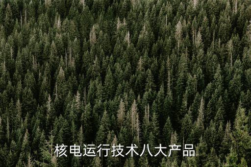 核電運(yùn)行技術(shù)八大產(chǎn)品