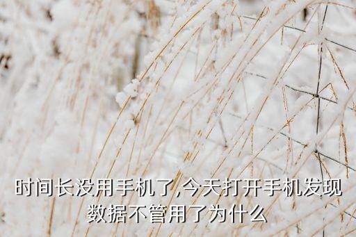 手機開數(shù)據(jù)沒反應怎么辦啊,手機數(shù)據(jù)打不開怎么辦?