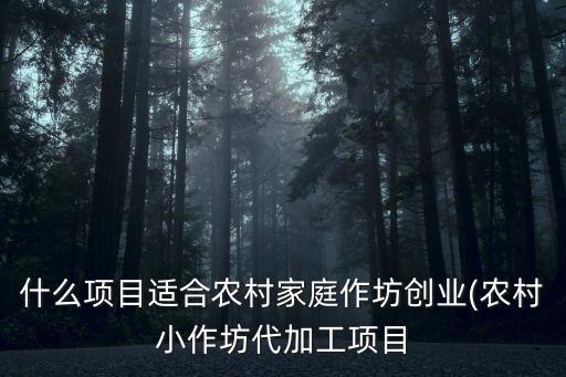 高端小型自動化設備創(chuàng)業(yè)項目,小小創(chuàng)業(yè)項目有哪些?