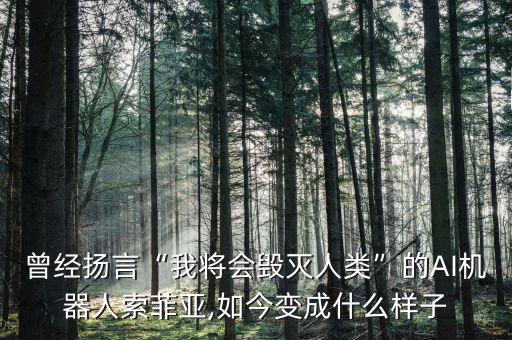 曾經(jīng)揚(yáng)言“我將會(huì)毀滅人類”的AI機(jī)器人索菲亞,如今變成什么樣子