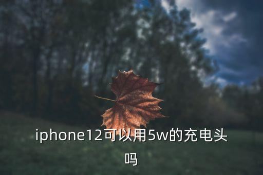 iphone12可以用5w的充電頭嗎