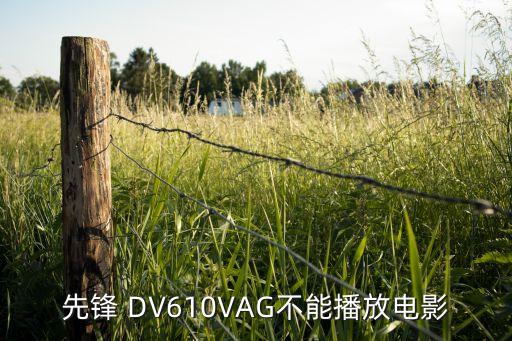 先鋒 DV610VAG不能播放電影