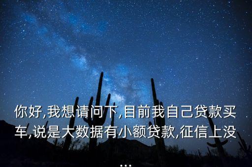 你好,我想請(qǐng)問下,目前我自己貸款買車,說是大數(shù)據(jù)有小額貸款,征信上沒...