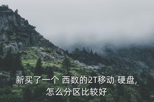 新買了一個 西數(shù)的2T移動 硬盤,怎么分區(qū)比較好