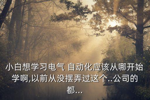 小白想學習電氣 自動化應該從哪開始學啊,以前從沒擺弄過這個..公司的都...