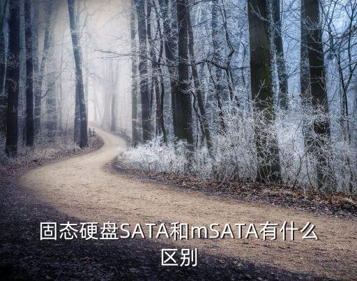 固態(tài)硬盤SATA和mSATA有什么區(qū)別