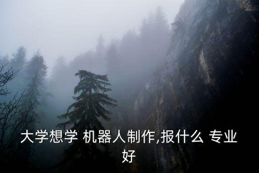 大學想學 機器人制作,報什么 專業(yè)好