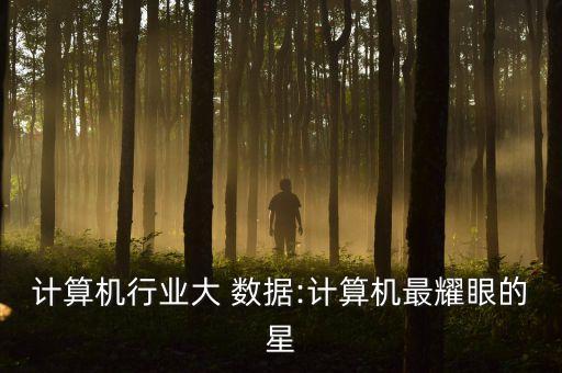 計(jì)算機(jī)行業(yè)大 數(shù)據(jù):計(jì)算機(jī)最耀眼的星