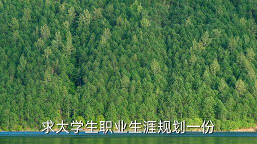 求大學(xué)生職業(yè)生涯規(guī)劃一份