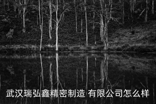 武漢瑞弘鑫精密制造 有限公司怎么樣