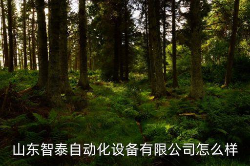 山東智泰自動(dòng)化設(shè)備有限公司怎么樣