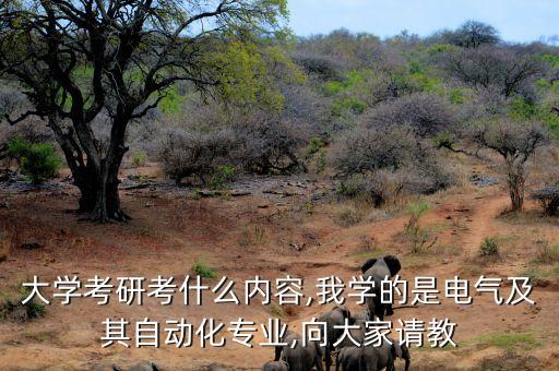 自動化考研考電氣還是控制,電氣考研考什么?