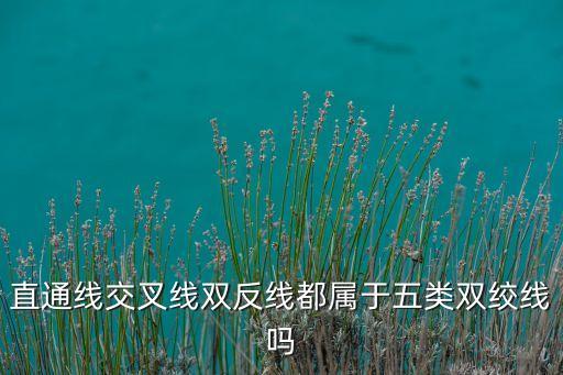 直通線交叉線雙反線都屬于五類雙絞線嗎