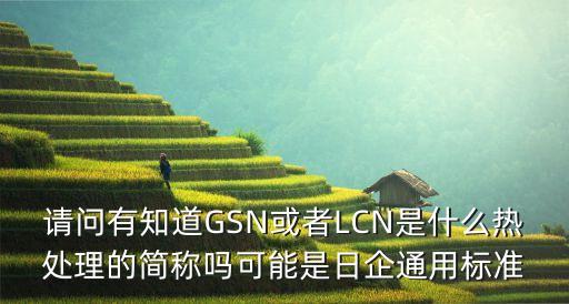 請問有知道GSN或者LCN是什么熱處理的簡稱嗎可能是日企通用標準