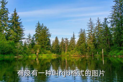 有沒有一種叫rgb格式的圖片