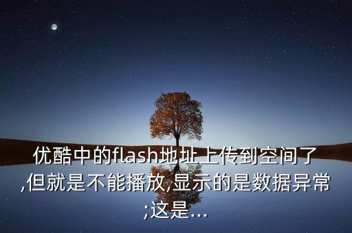 優(yōu)酷中的flash地址上傳到空間了,但就是不能播放,顯示的是數(shù)據(jù)異常;這是...