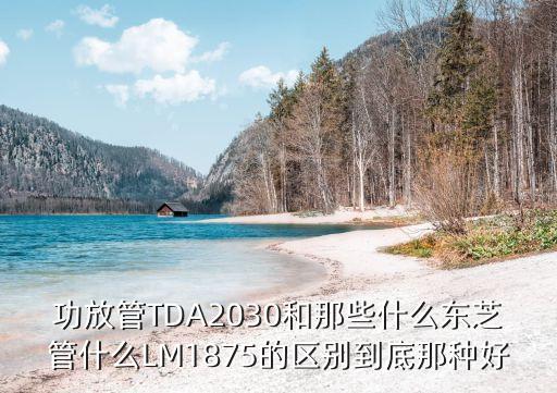 功放管TDA2030和那些什么東芝管什么LM1875的區(qū)別到底那種好